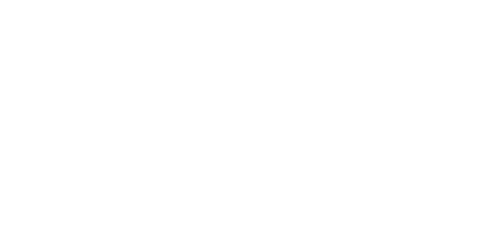 lone star park logo